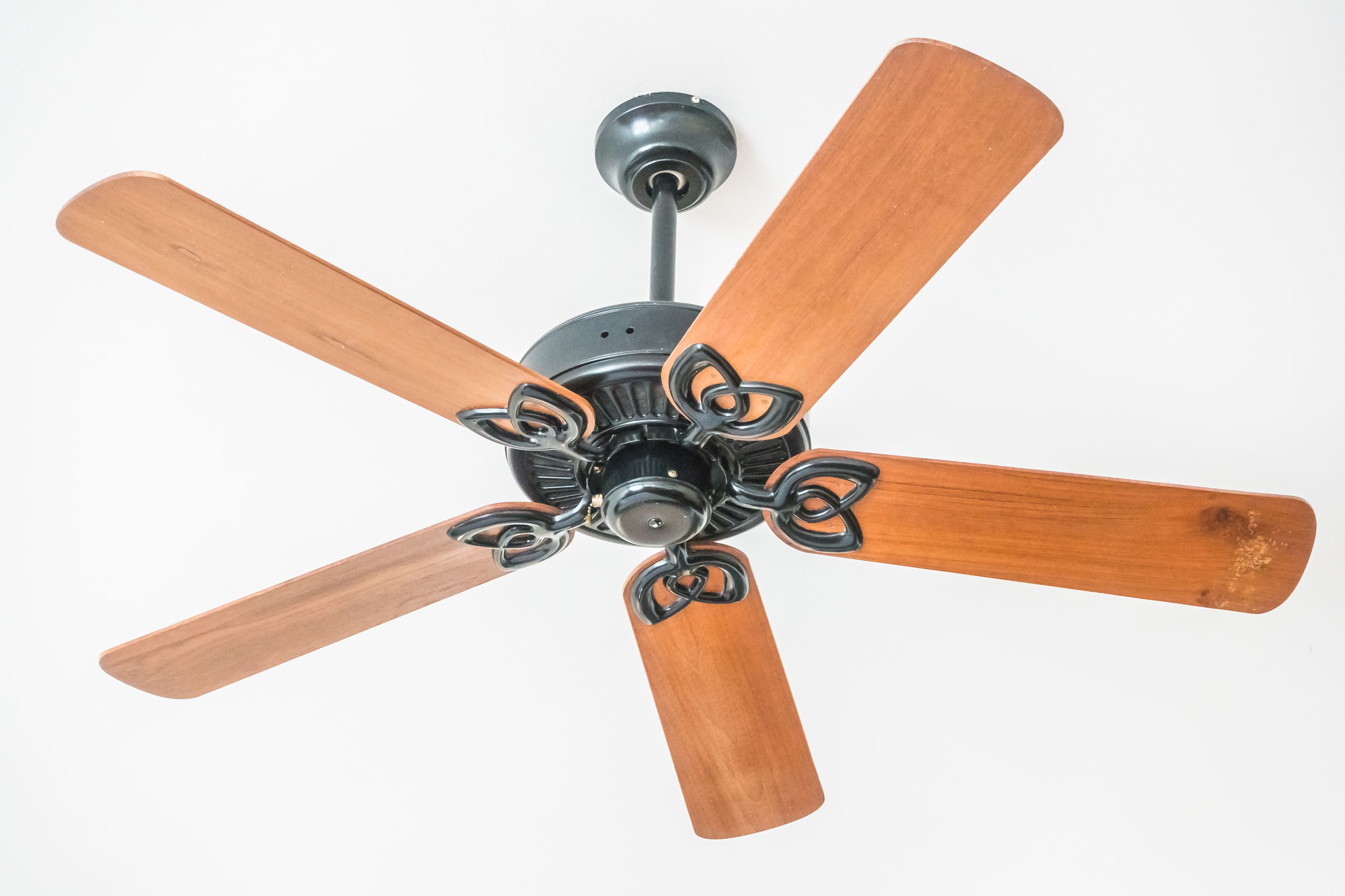 Ceiling Fans – Rosso Handyman